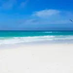 Coastal Bliss