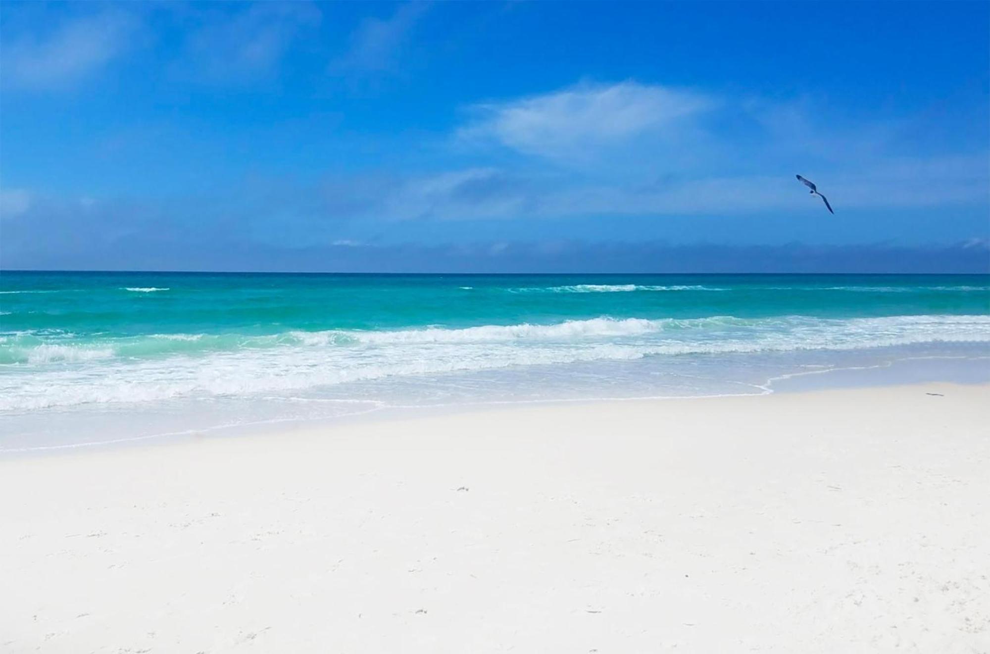 Coastal Bliss Panama City Beach